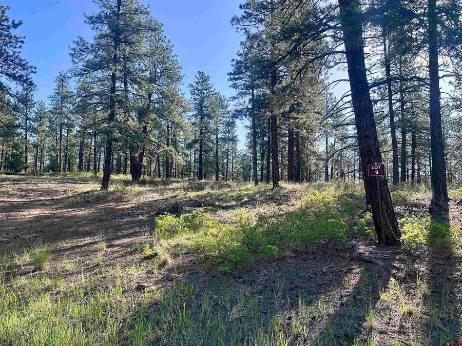 782 Hawks Meadow Drive, Bayfield, CO 81122 - #3