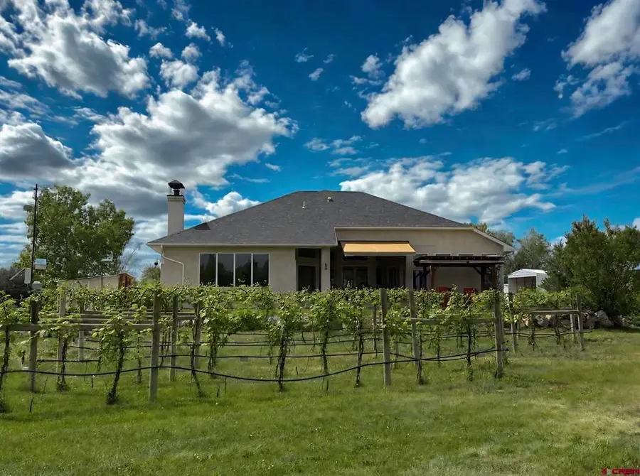 10783 3200 Road, Hotchkiss, CO 81419 - #2
