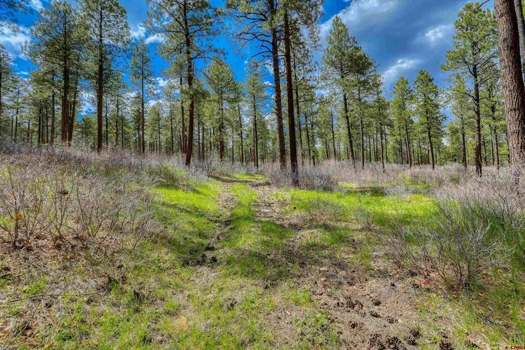 X Hidden Valley Drive, Pagosa Springs, CO 81147 - #1