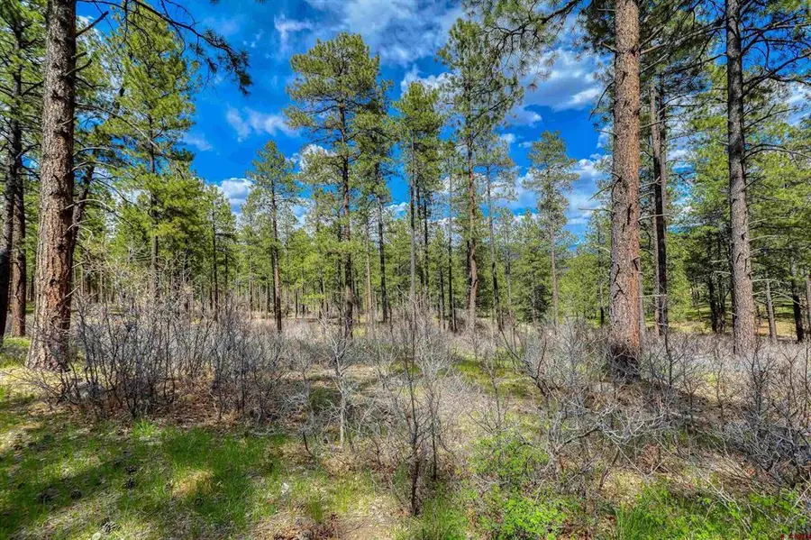 X Hidden Valley Drive, Pagosa Springs, CO 81147 - #3
