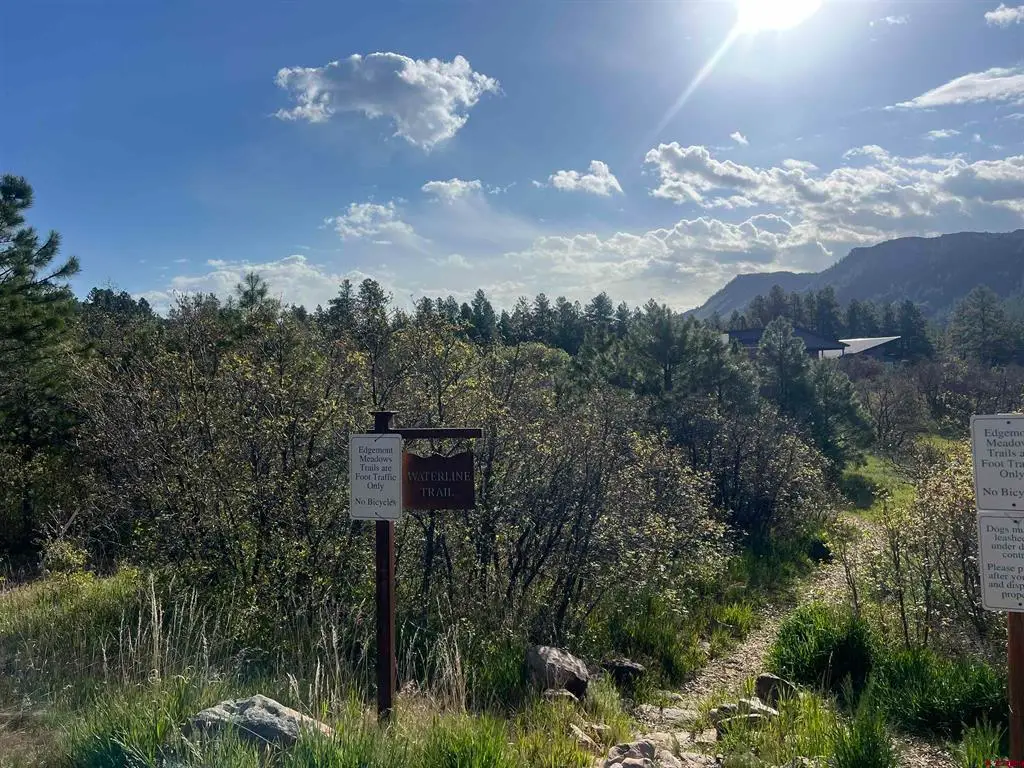 29 Edgemont Meadows Road, Durango, CO 81301 - #1