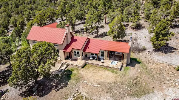 847 Pleasant Valley Drive, Ridgway, CO 81432