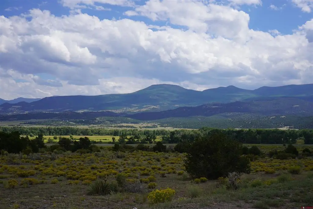 704 W Pfieffer Loop, South Fork, CO 81154 - #1