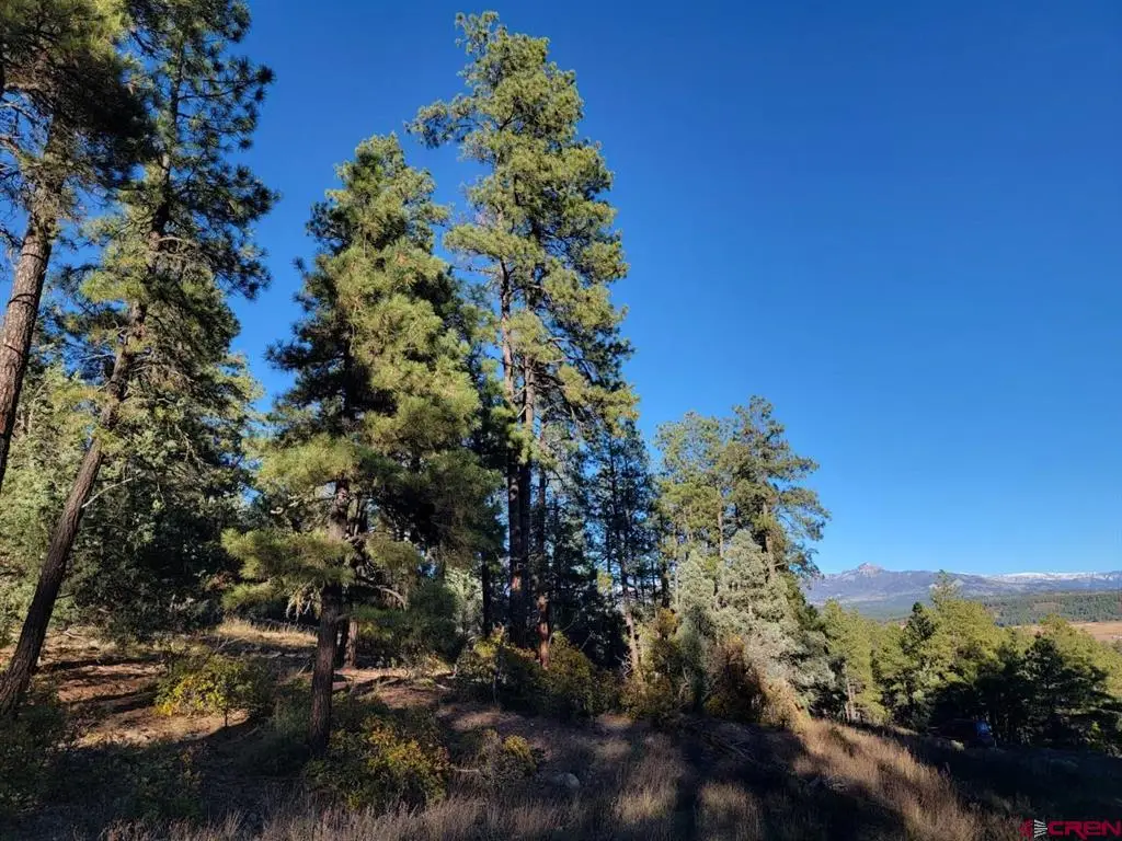 21 Echo Lake Access Easement, Pagosa Springs, CO 81147 - #1