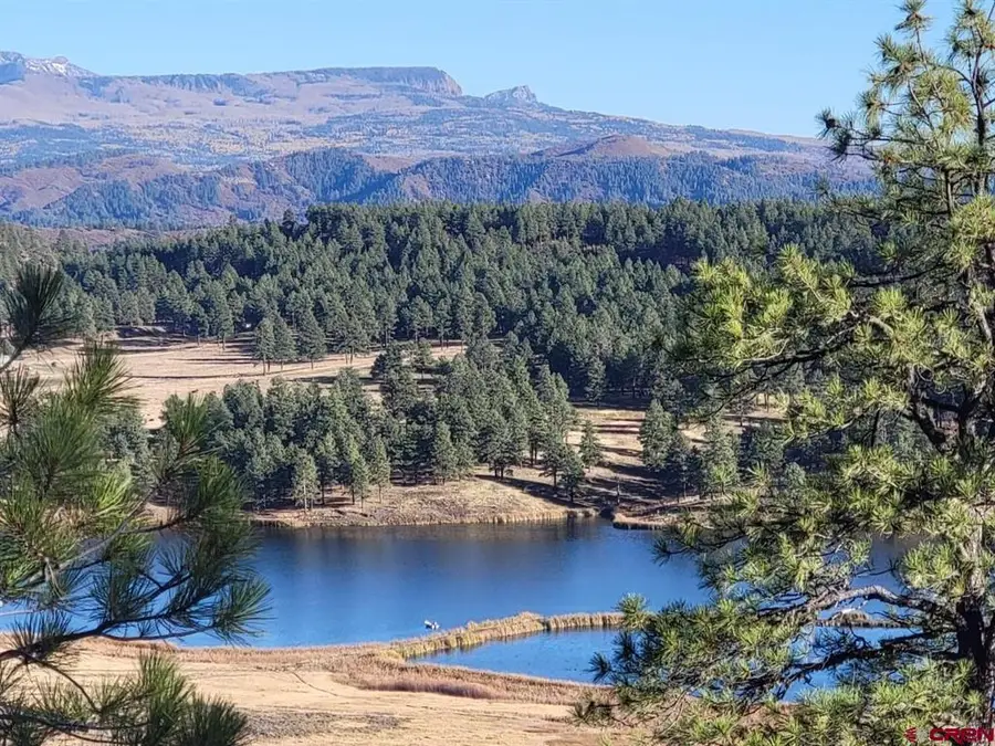 21 Echo Lake Access Easement, Pagosa Springs, CO 81147 - #2