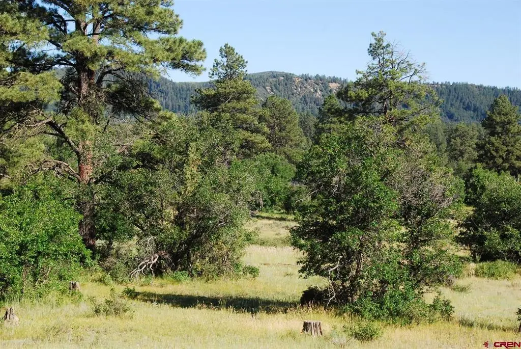 X Us Hwy 84 #116, Pagosa Springs, CO 81147 - #1