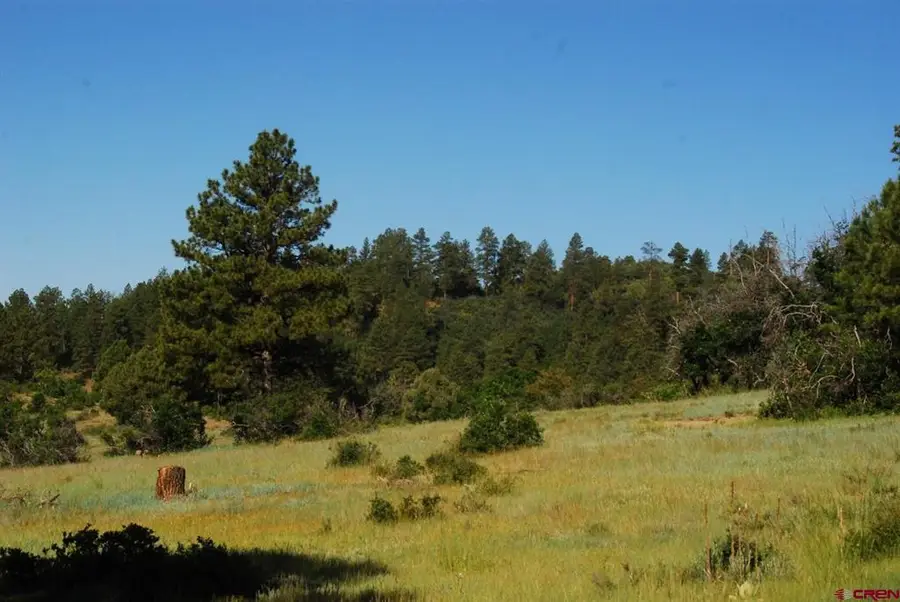 X Us Hwy 84 #116, Pagosa Springs, CO 81147 - #2