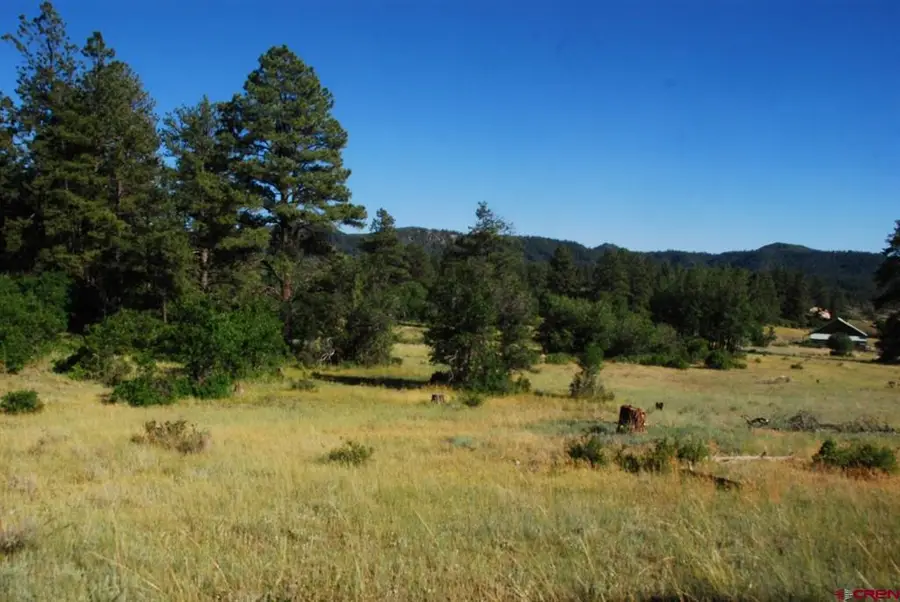 X Us Hwy 84 #116, Pagosa Springs, CO 81147 - #3