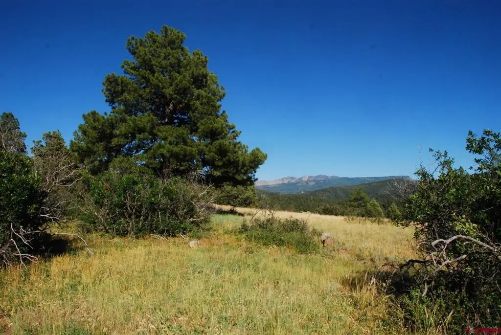 X Us Hwy 84 #114, Pagosa Springs, CO 81147 - #1