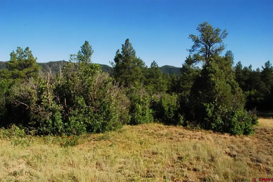 X Us Hwy 84 #114, Pagosa Springs, CO 81147 - #3