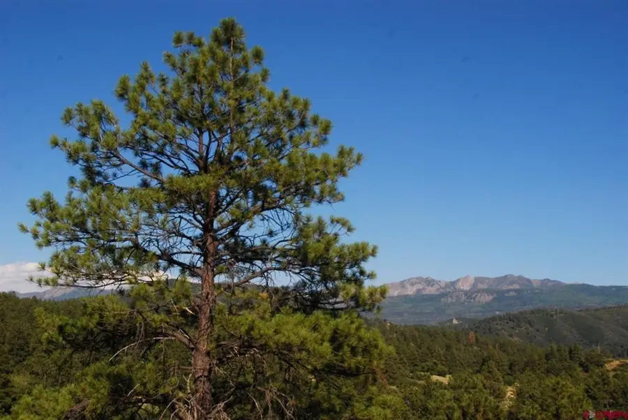 X Us Hwy 84 #047, Pagosa Springs, CO 81147 - #2