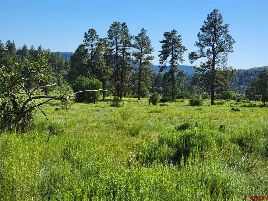 X Catchpole Drive, Pagosa Springs, CO 81147 - #2