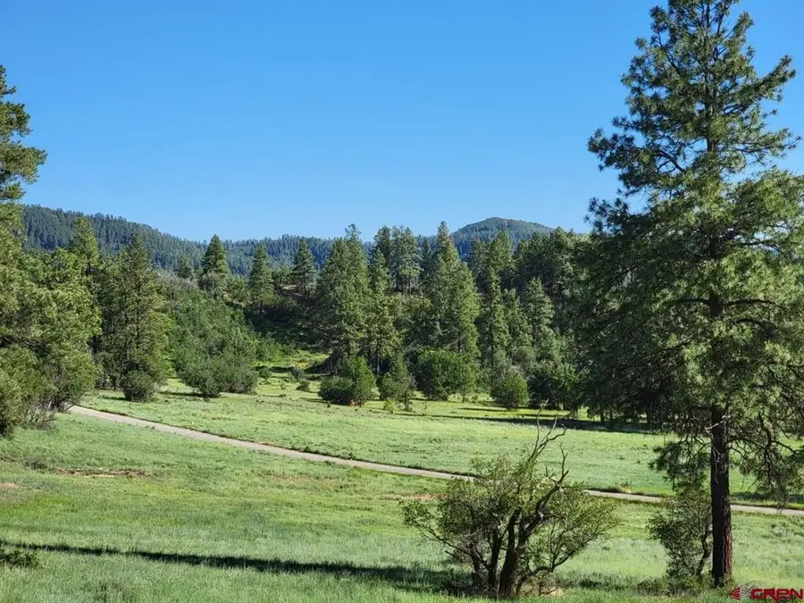 X Catchpole Drive, Pagosa Springs, CO 81147 - #3