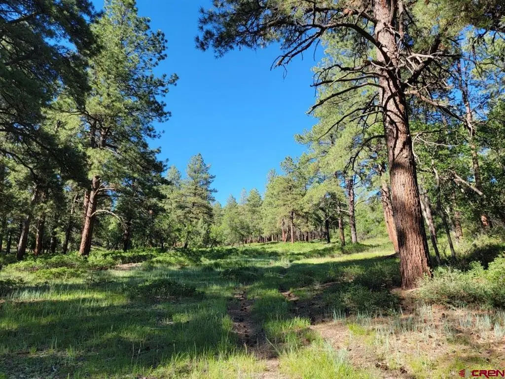 X Catchpole Drive, Pagosa Springs, CO 81147 - #1