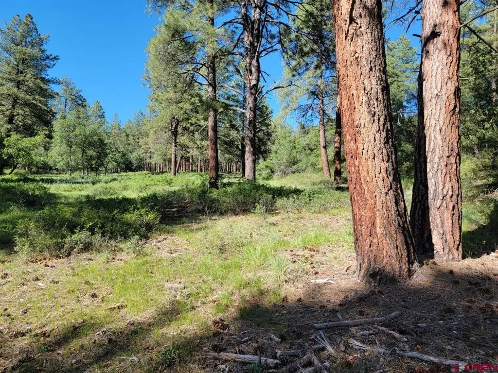X Catchpole Drive, Pagosa Springs, CO 81147 - #1