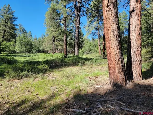 X Catchpole Drive, Pagosa Springs, CO 81147