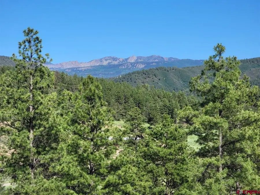 X Catchpole Drive, Pagosa Springs, CO 81147 - #2
