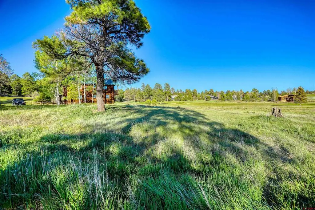 28 Divot Place, Pagosa Springs, CO 81147 - #1