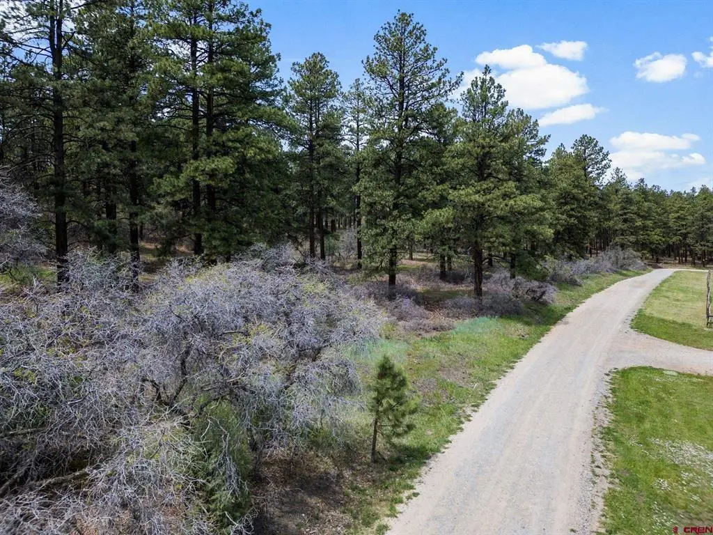 135 Meadow Lane, Bayfield, CO 81122 - #1