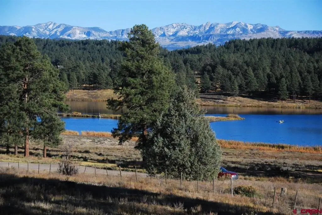 220 Chamisa Place, Pagosa Springs, CO 81147 - #1