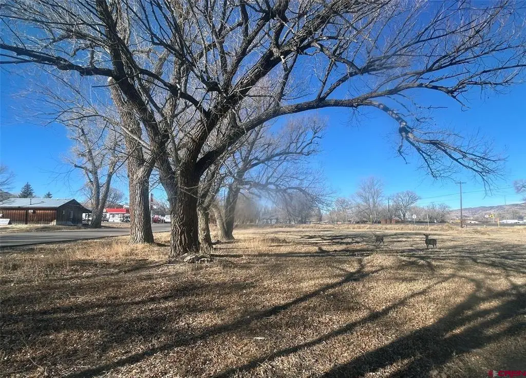 tbd Hwy 285, Saguache, CO 81149 - #1