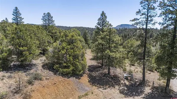 275 Logging Trail Road, Durango, CO 81303