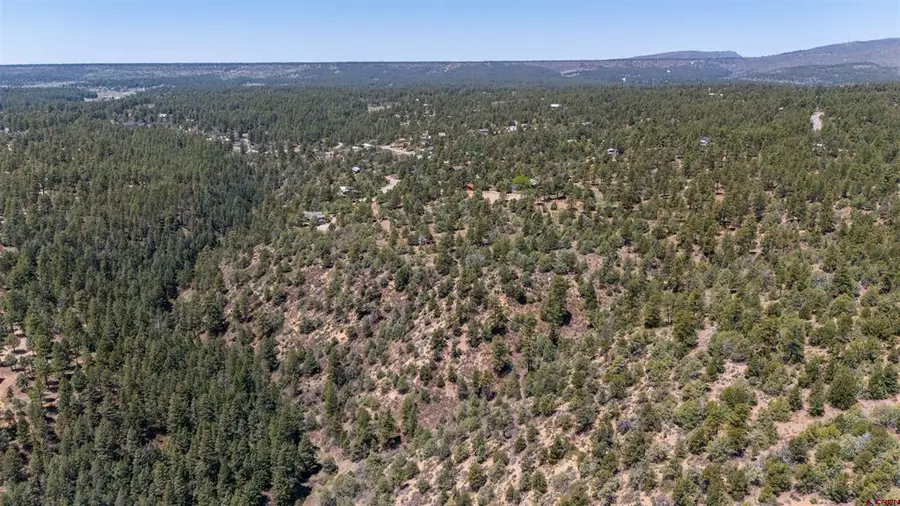 275 Logging Trail Road, Durango, CO 81303 - #3