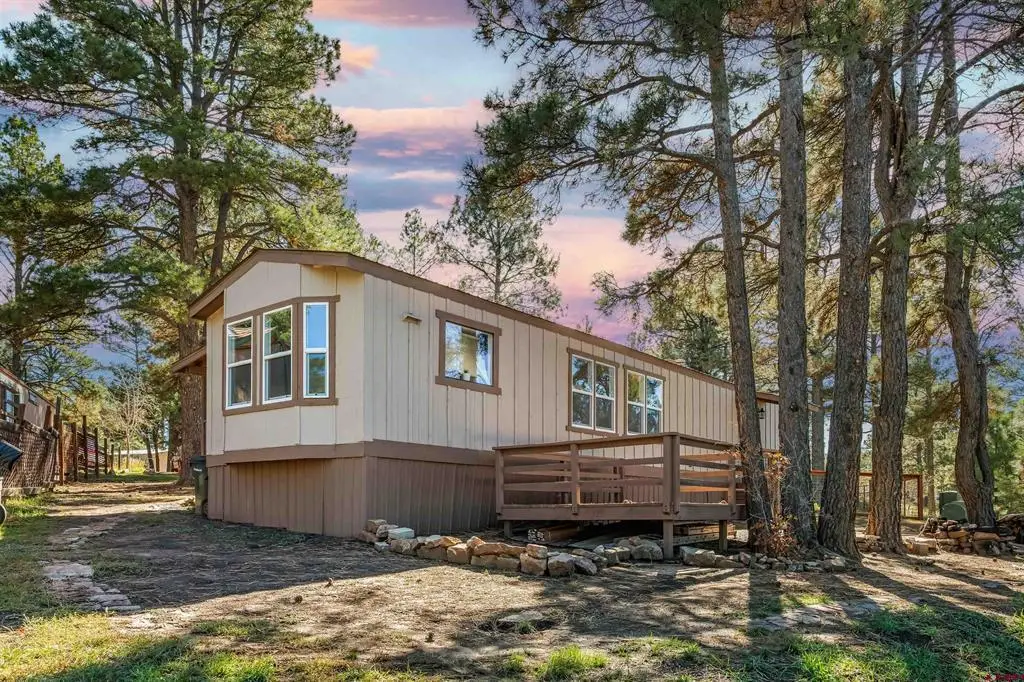 368 Fireside Street, Pagosa Springs, CO 81147 - #1