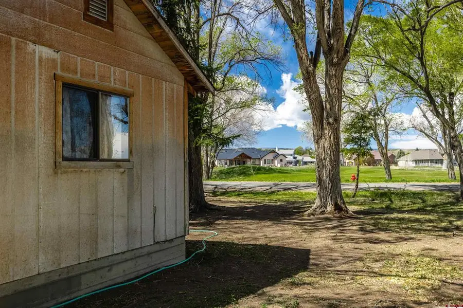 17174 6450 Road, Montrose, CO 81403 - #3
