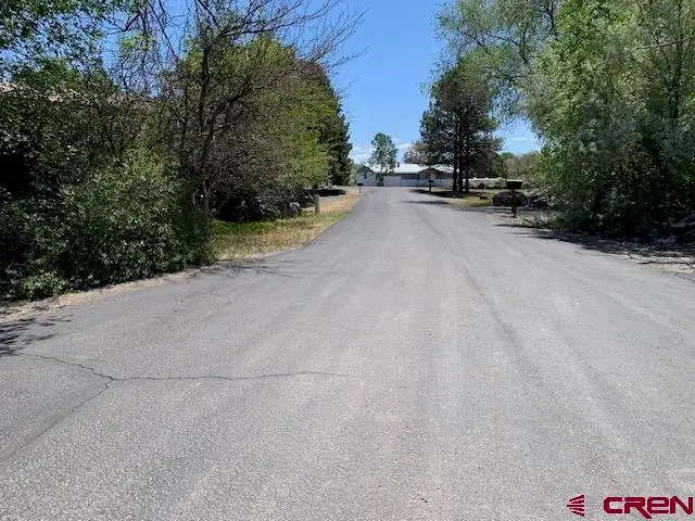 570 SW 2nd Court, Cedaredge, CO 81413 - #3