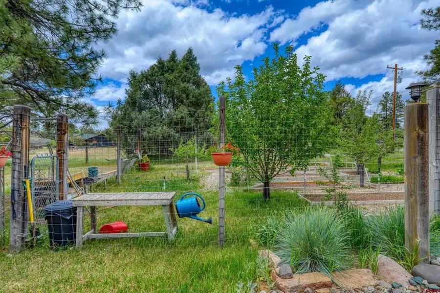 705 Buttress Avenue, Pagosa Springs, CO 81147 - #3