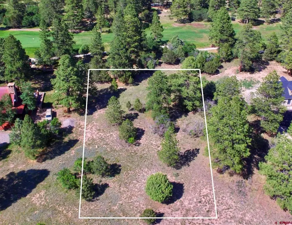 170 Puma Lane, Ridgway, CO 81432 - #1