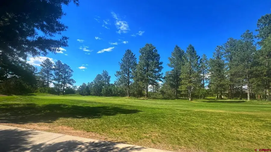 170 Puma Lane, Ridgway, CO 81432 - #2