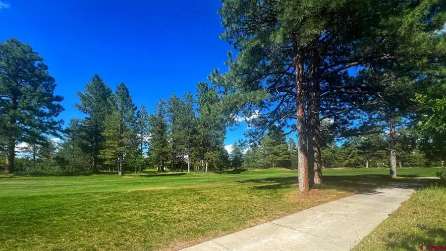170 Puma Lane, Ridgway, CO 81432 - #3