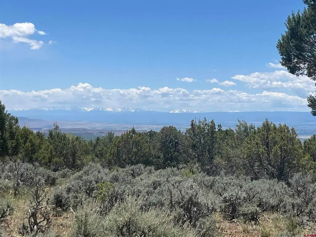 TBD Green Valley Road, Cedaredge, CO 81413 - #1