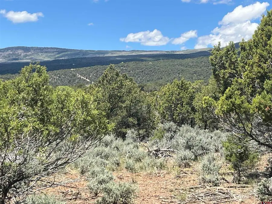 TBD Green Valley Road, Cedaredge, CO 81413 - #3