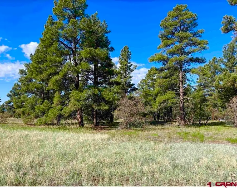 715 Oxbow Circle, Pagosa Springs, CO 81147 - #2