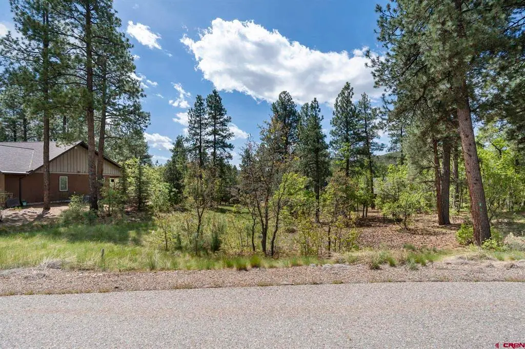47 Needle Creek Court, Durango, CO 81301 - #1