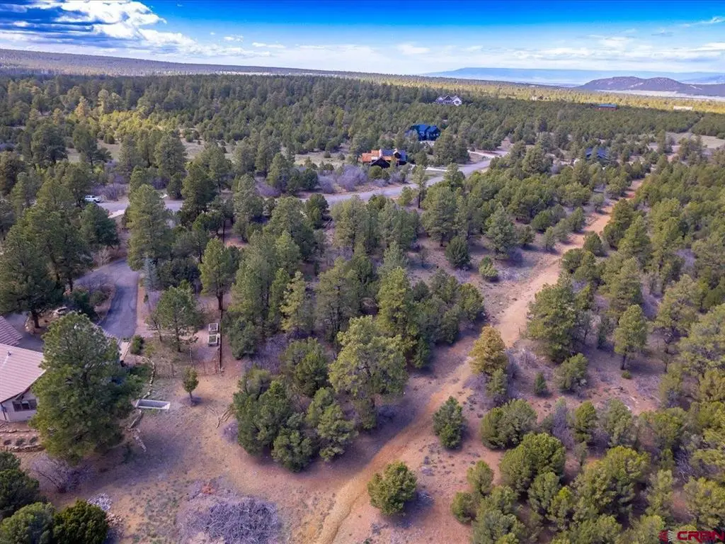 TBD Lot 556 Badger Trail N., Ridgway, CO 81432 - #1