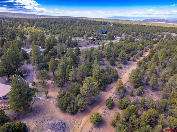 TBD Lot 556 Badger Trail N., Ridgway, CO 81432