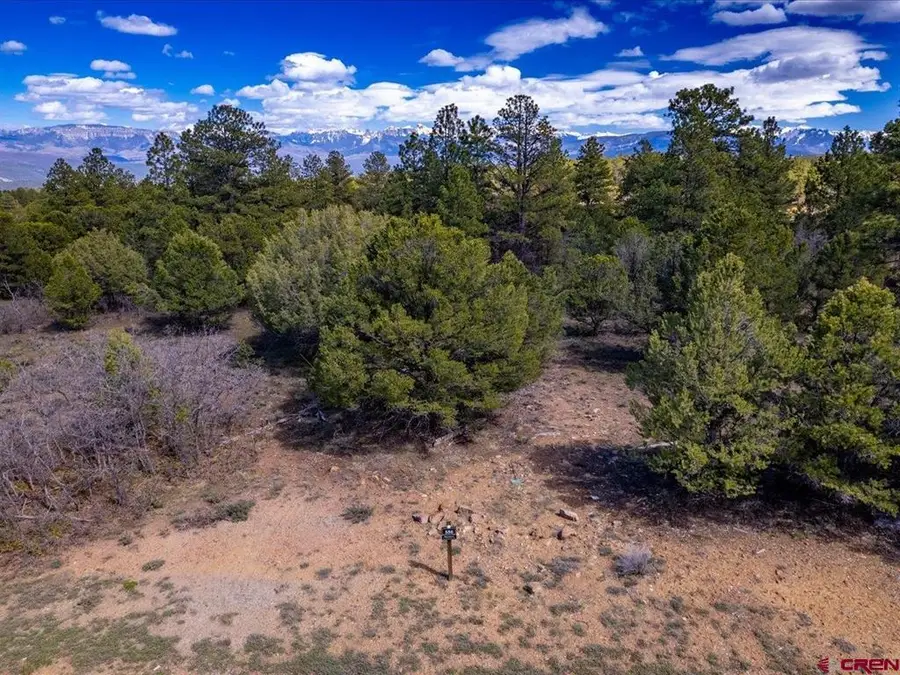 TBD Lot 556 Badger Trail N., Ridgway, CO 81432 - #3