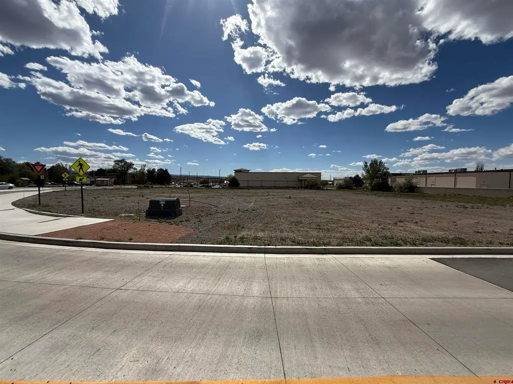 1595 E Oak Grove Road, Montrose, CO 81401 - #1