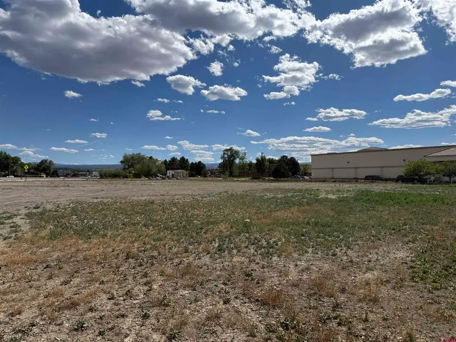 1595 E Oak Grove Road, Montrose, CO 81401 - #2