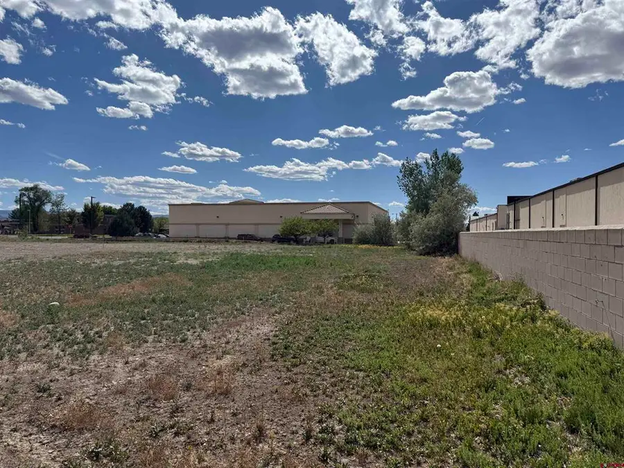 1595 E Oak Grove Road, Montrose, CO 81401 - #3