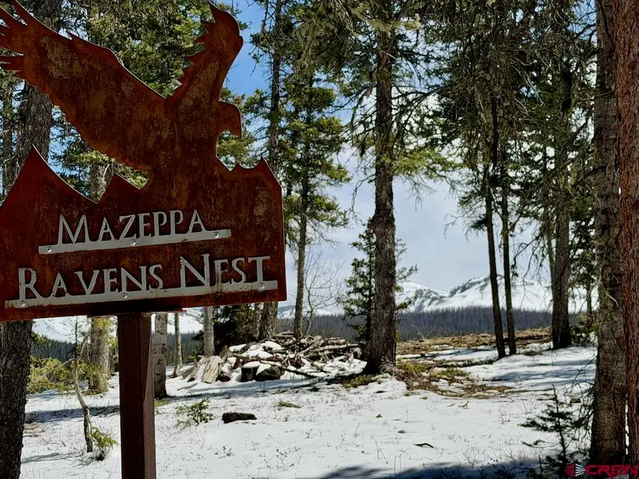 Mayzeppa N 550 Highway, Silverton, CO 81433 - #3