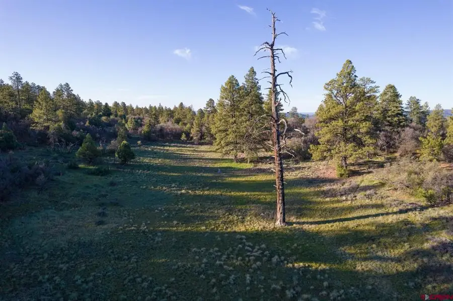 592 Ranchland Drive, Pagosa Springs, CO 81147 - #2