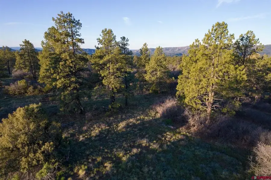 592 Ranchland Drive, Pagosa Springs, CO 81147 - #3