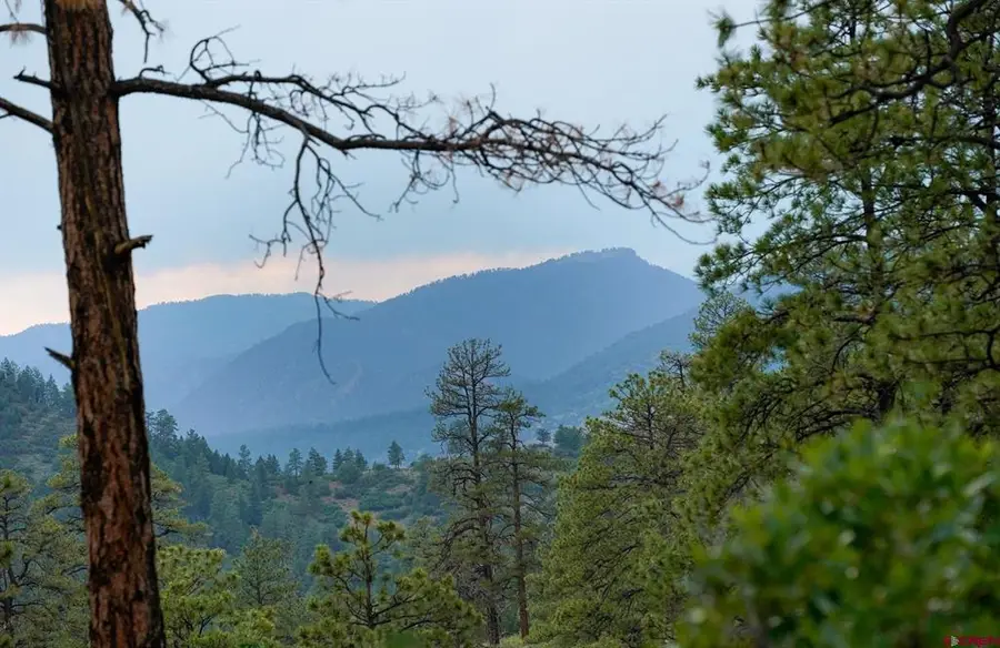51 Rocky Ridge 3, Pagosa Springs, CO 81147 - #3