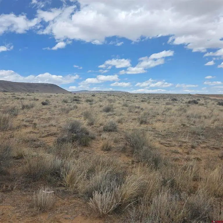 TBD Kalamath Trail Lot 57, San Luis, CO 81152 - #1