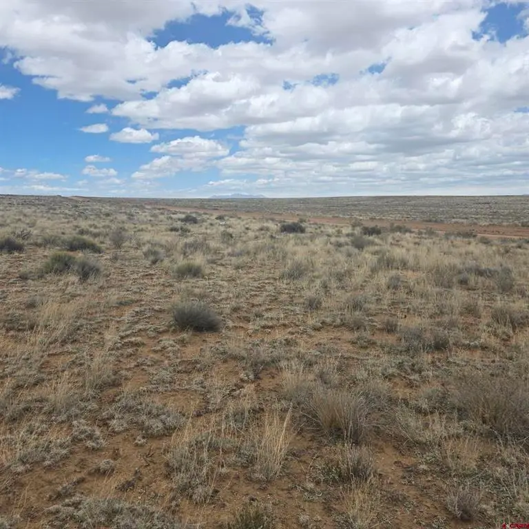 TBD Kalamath Trail Lot 57, San Luis, CO 81152 - #3